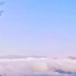 期待着你的回答