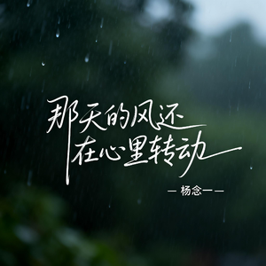 那天的风还在心里转动
