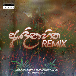 Ayadina Hitha (Remix) (Remix)