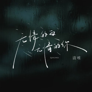 无情的雨 无情的你 (DJ九零版)