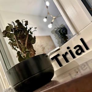 Trial