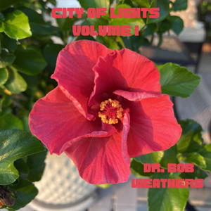 Ravel (Mornings with Amanda & Maurice)