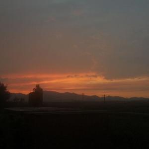 阿拉斯加的海湾