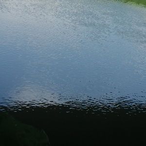 202409@格式转换1725974734660