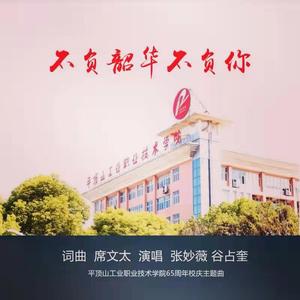 不负韶华不负你