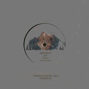 Distinct (feat. Microlab) (Original Mix)