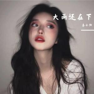 大雨还在下(抖音热播版)