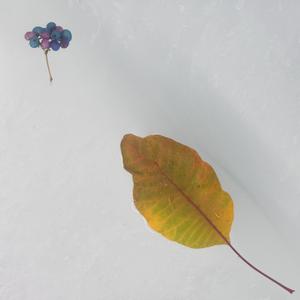 Melancholic Memories