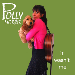 The Fiddle Song (feat. Mandy Stansfield, Brian Harries, Steven Faulkner & Paul Thomas)