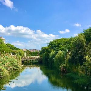 漠河舞厅