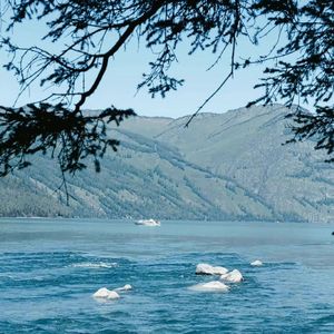 눈, 코, 입 (眼,鼻,嘴)