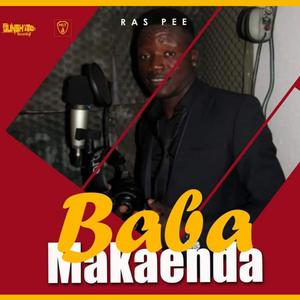 Ras Pee (Pamusoroi mafans (Baba Makaenda Album)