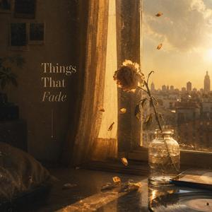 Things That Fade