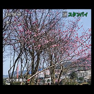 我不知道（prod.by Morrow）