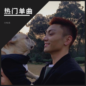 Jay Sean-Ride it （Remix）（刘唯威 remix）