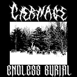 The Draugr (Called Humanity)