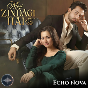 Meri Zindagi Hai Tu