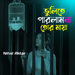 ভুলিতে পারলামনা তোর মায়া