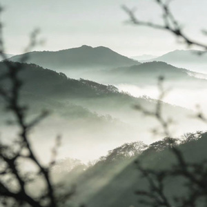 城市在轻轻呼吸