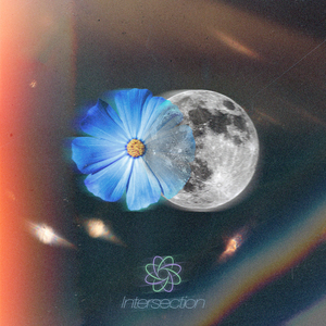 만개 (Full Bloom)