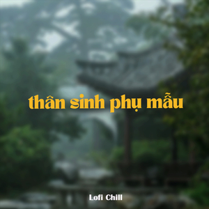 Thân Sinh Phụ Mẫu (Lofi) - Beat