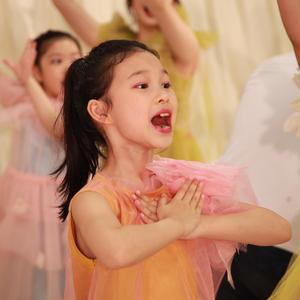 夜空中最亮的星