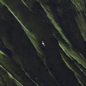 春去夏至（My spring）