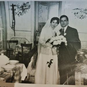 Loznica (Grape Vines)