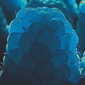 シンデレラボーイ