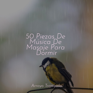 A La Deriva En Aguas Lejanas