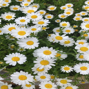 No substitute for you