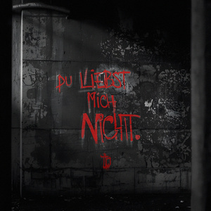 Du liebst mich nicht