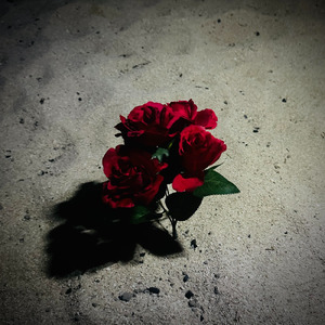 Rosetta (feat. SIGANA-P)