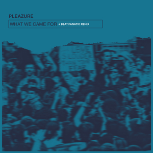 What We Came For (Edit)