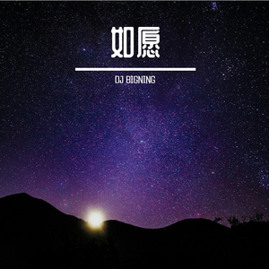 如愿 (DJ BIGNING Remix)