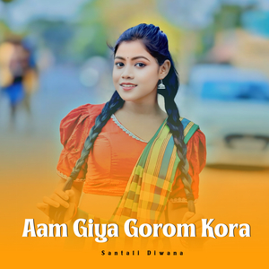 Aam Giya Gorom Kora
