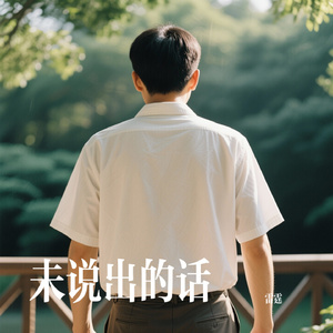 未说出的话