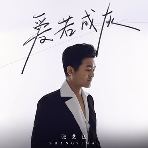 爱若成灰 (DJ九零版)