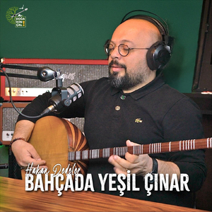 Bahçada Yeşil Çınar