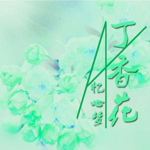 丁香花