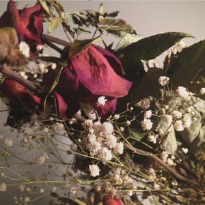 I Gave My Body To Him