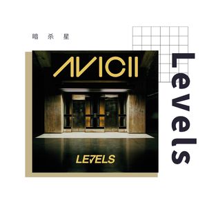 Avicii - Avicii-Levels（暗杀星 remix）