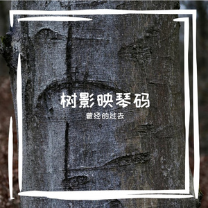 葱埠谷