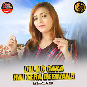 Dil Ho Gaya hai Tera Deewana (1)