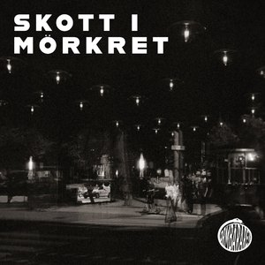Skott i mörkret