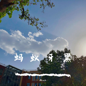 蚂蚁牙黑（boolteg）