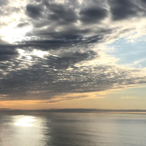 Lettuce (Instrumental)