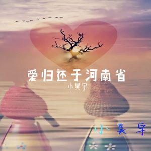 爱归还于河南省