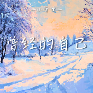 曾经的自己（这些年在忙什么）