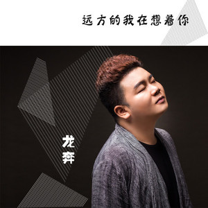 远方的我在想你 (DJ版)